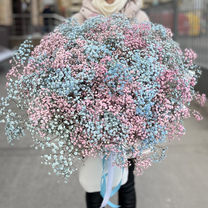 Букет на Гендр Патти  51 гипсофила